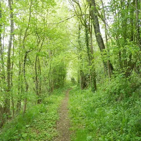 D'hôtes - La Clef Des Champs - Piscine - Capucine 3* Sajas